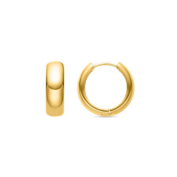 Pendientes Iris