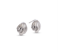 Pendientes Shell silver