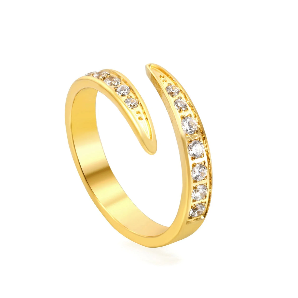 Anillo Snake