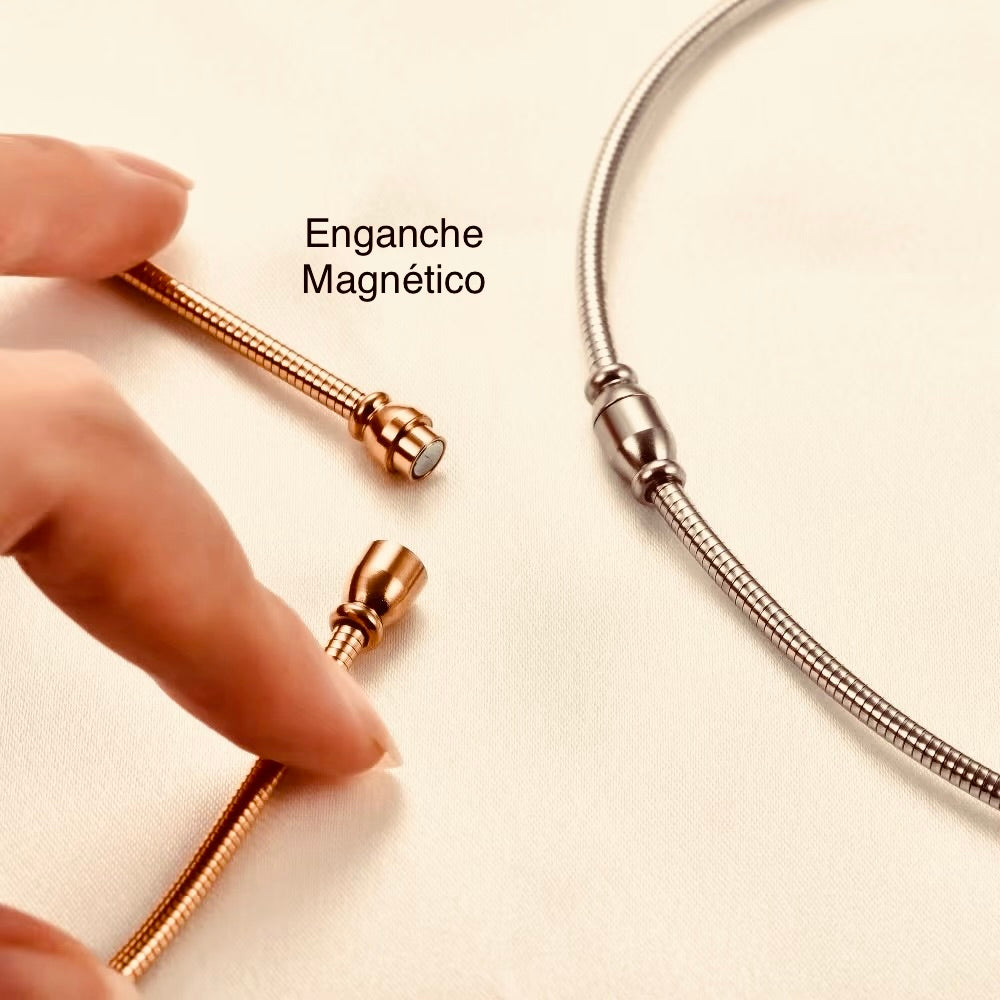 Collar Trendy