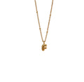 Cadena Inicial