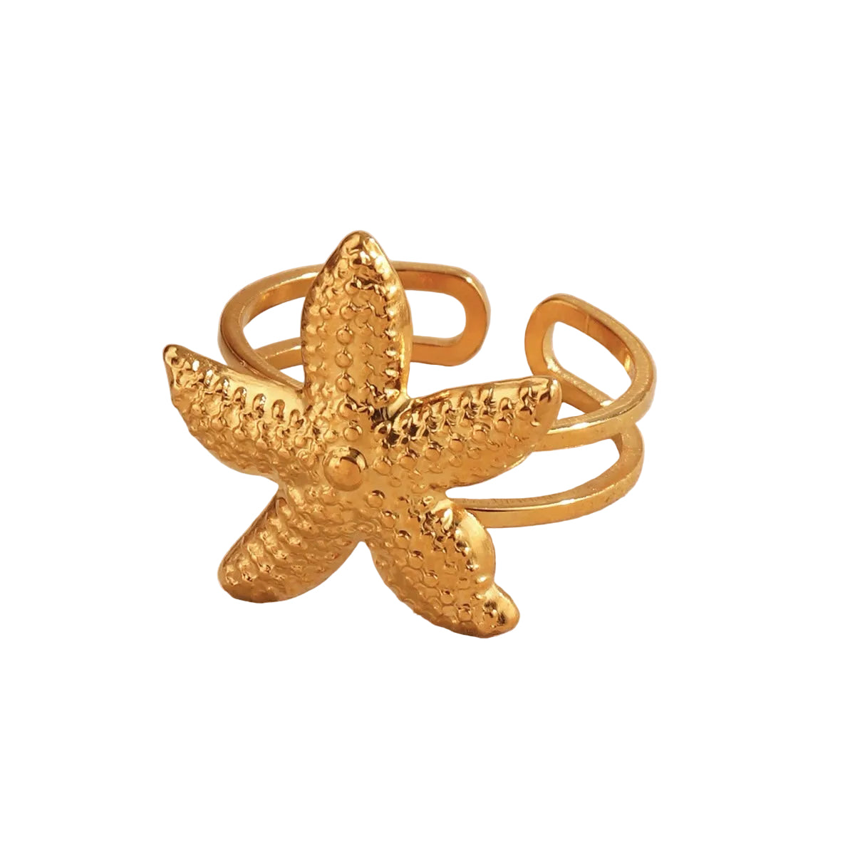 Anillo Estrella ⭐️