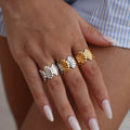 Anillo Shell