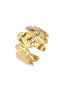 Anillo Vega