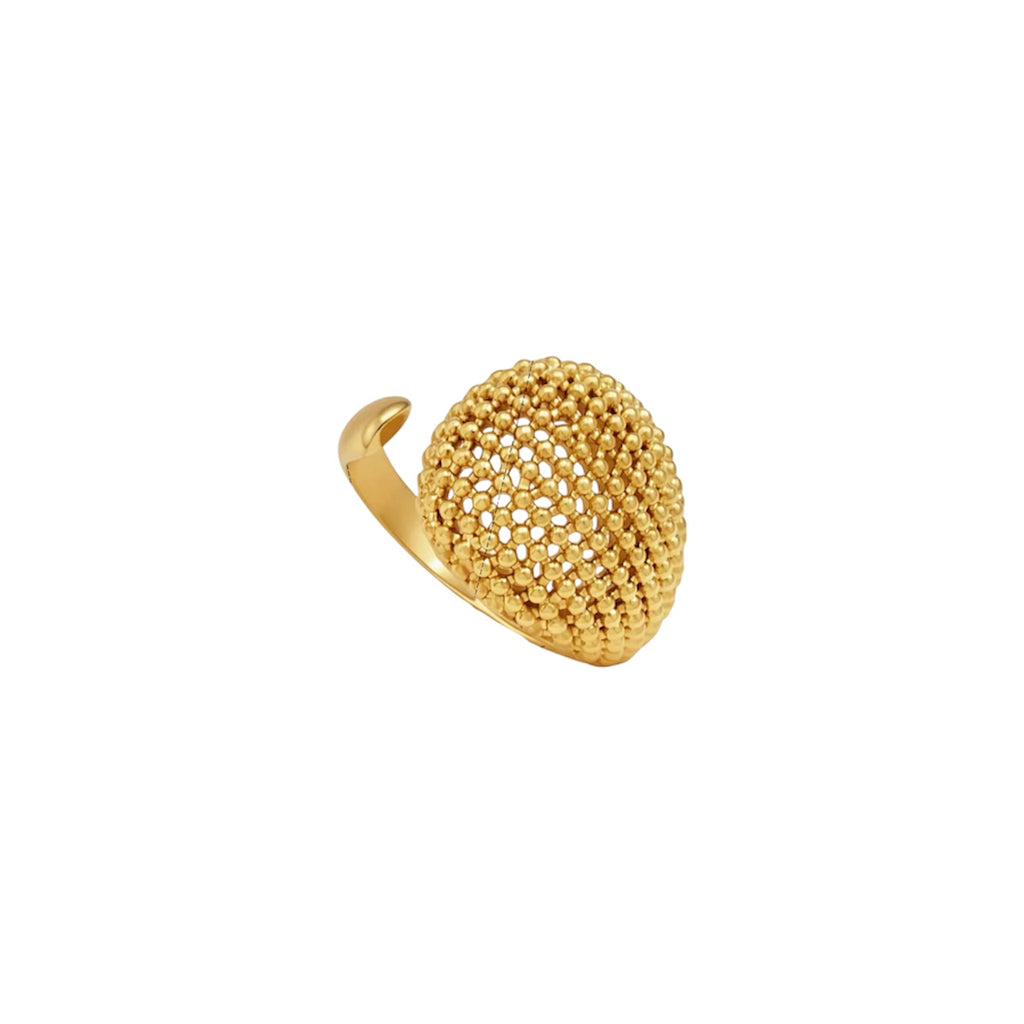 Anillo Panal